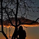 ���� ���������, ���� - ��������� 13 ����� 2019 � ������ ������ ��������