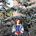 ���� ����, ���, 40 ��� - ��������� 4 ������� 2018 � ������ ���� ����������