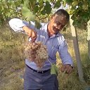 ���� Safar, �������, 41 ��� - ��������� 9 ������� 2018 � ������ ���� ����������