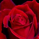 ���� Andrey, �����-���������, 62 ���� - ��������� 21 ����� 2019 � ������ ���� ����������