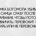 ���� �, �����-���������, 40 ��� - ��������� 18 ����� 2019
