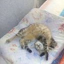 ���� ������, ���������, 55 ��� - ��������� 16 �������� 2018 � ������ ������ ��������