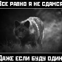 ���� ��������, ������ - ��������� 12 ������� 2018 � ������ ���� ����������