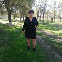  ,  , 66  -  20  2019