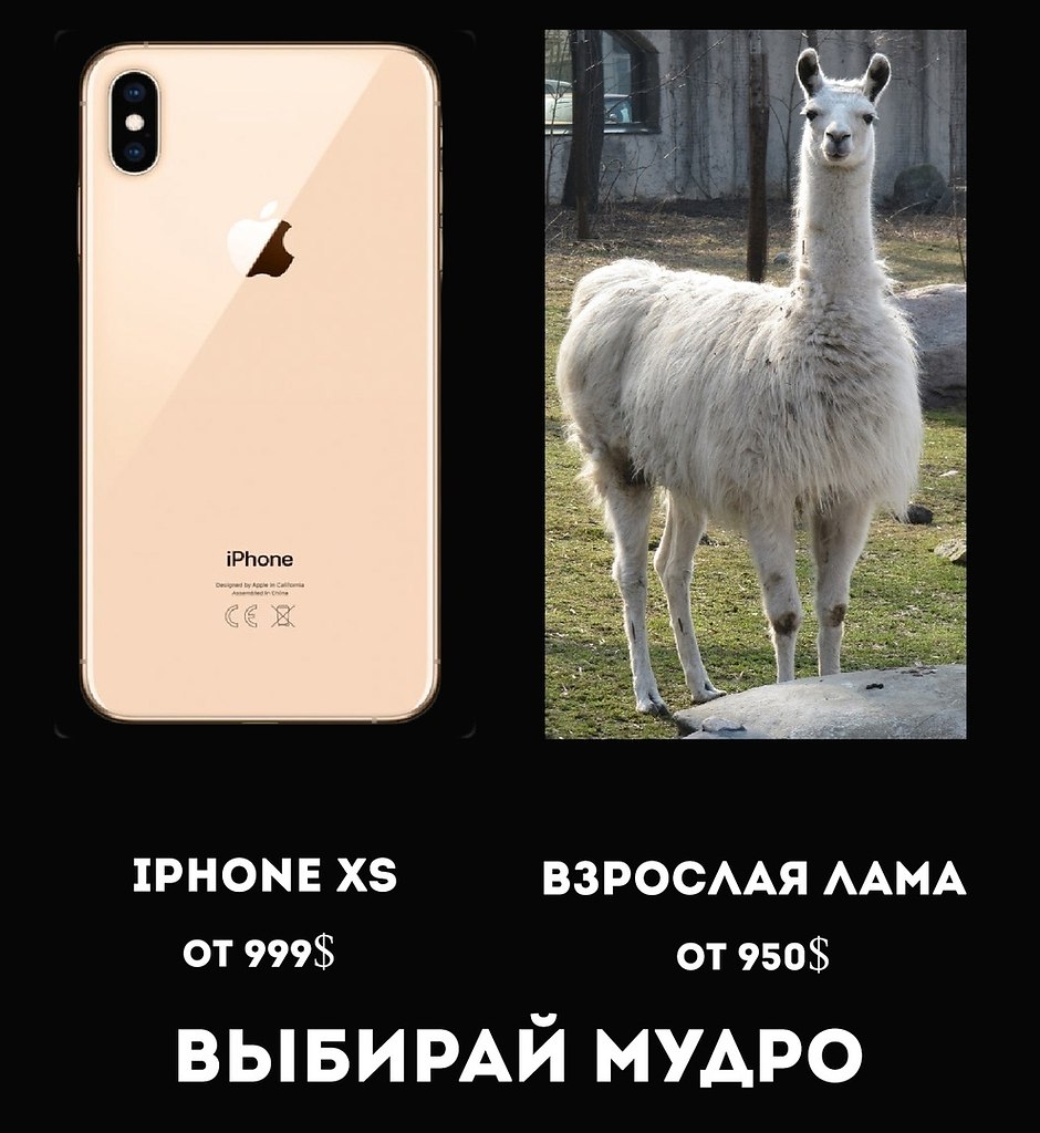   - 15  2018  16:39