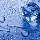 ���� ���������, ������, 49 ��� - ��������� 6 ������ 2019 � ������ ���� ����������