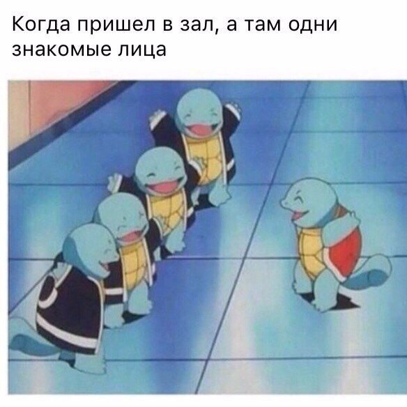 SportFeed - 7  2019  16:49