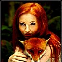 ���� -�� ���� �� ����, ������, 44 ���� - ��������� 25 ������� 2018