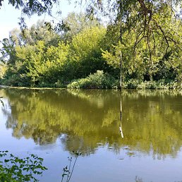 Aleks, ������, 46 ���