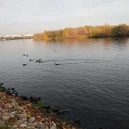 ���, ������, 37 ���