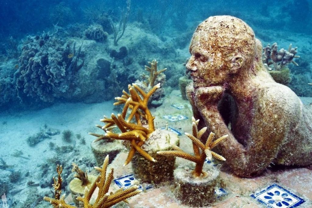    (The Underwater Sculpture Park) -  ,    ... - 4