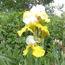 ���� �������, �����-���������, 64 ���� - ��������� 21 �������� 2018 � ������ ���� ����������