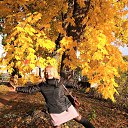 ���� ��������, ������ - ��������� 17 ����� 2019 � ������ ���� ����������