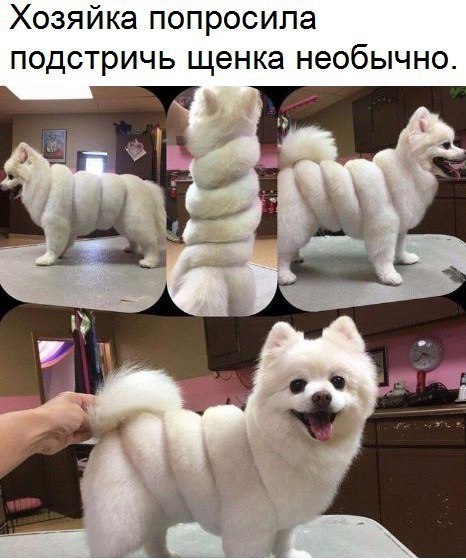  - 9  2019  17:14