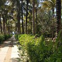 ��� �� ������� ���� 19�