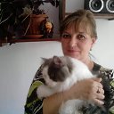 ���� �����, ��������, 58 ��� - ��������� 26 ������ 2019 � ������ ���� ����������