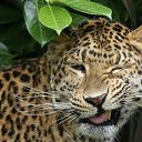 ���� �������, ����������� - ��������� 27 ������� 2018 � ������ ������ ��������