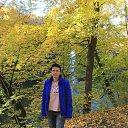 ���� ������, ������, 49 ��� - ��������� 20 ������� 2018 � ������ ���� ����������