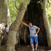 �����, 53 ����, ����������� ����