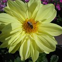 ���� �������, ����������, 59 ��� - ��������� 15 ������� 2018