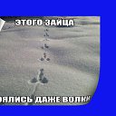 ���� ����, ��������� - ��������� 4 ������� 2019 � ������ ������ ��������