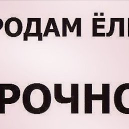 �����, �������, 45 ���