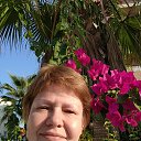 ���� �������, ���������, 66 ��� - ��������� 29 ������� 2018 � ������ ���� ����������