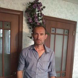 ����, ������, 46 ���