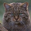 ���� ����� � 72, ��������, 53 ���� - ��������� 28 ������ 2018 � ������ ���� ����������