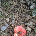  , , 60  -  4  2018   ,  ,04.08.18.