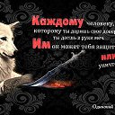 ���� Archi, ����������� - ��������� 29 ������� 2018 � ������ ���� ����������