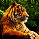 ���� �������, ��������, 47 ��� - ��������� 30 ������� 2018 � ������ ���� ����������