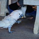   -  !), -, 53  -  10  2019     