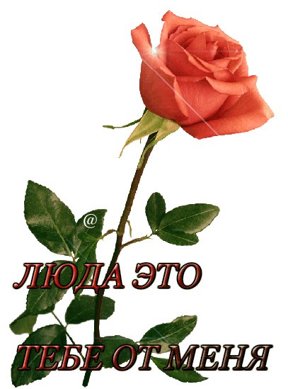   ,    . - 30  2019  01:29