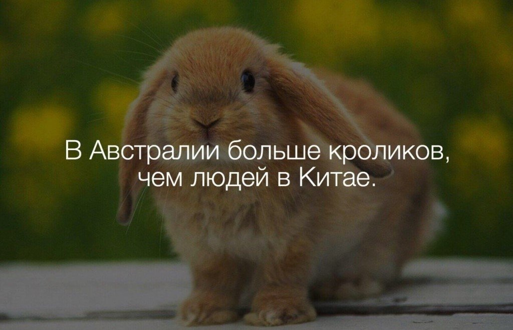   :    - 30  2018  16:21