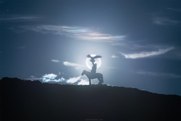 Golden Eagle Rise.автор: Даниил КоржоновMongolia expedition. Октябрь 2018/ съёмка охотника с золотым ...