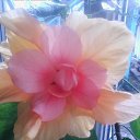 ���� �������, ����, 72 ���� - ��������� 12 ����� 2019 � ������ ���� ����������