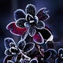���� ������, ���� - ��������� 3 �������� 2018 � ������ ���� ����������