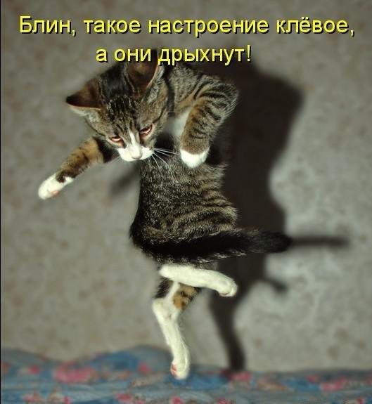    - 11  2018  16:31