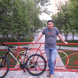 �����, ������-���������, 46 ���