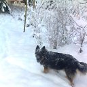  , -, 61  -  23  2019