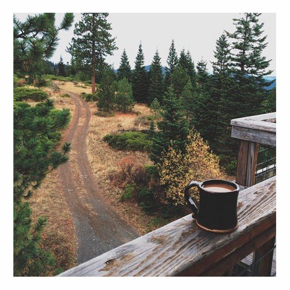 ������� �������� �������� ���� �����, ����� ����� ���� ���� ����� ������. � ������ ������ - 3