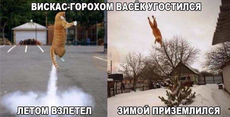 ��� ���� � ����� �� �� - 20 ������� 2018 � 16:48