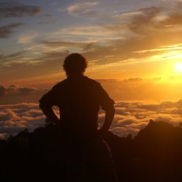 ��������, ������, 39 ���