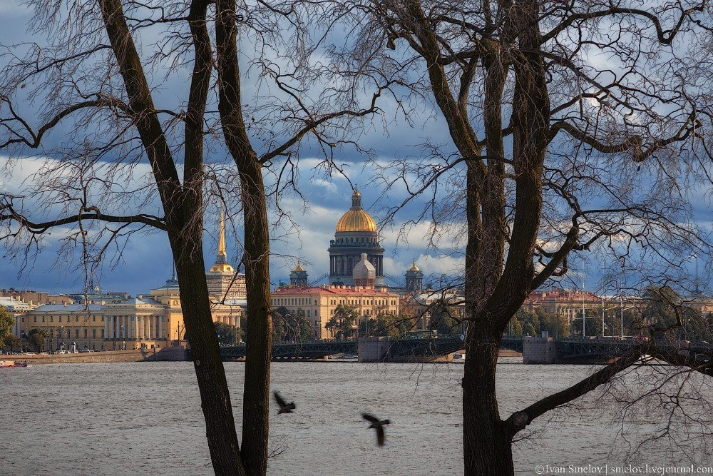 Питер В Начале Ноября Фото