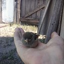 "���� ������ - �� ��� � �����"