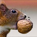 ���� ������, ������������ - ��������� 27 ����� 2019 � ������ ��������