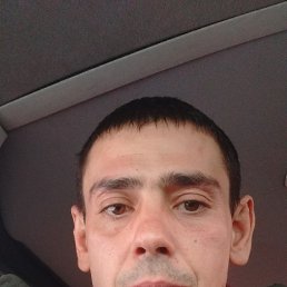 Vetlik, ���������, 40 ���