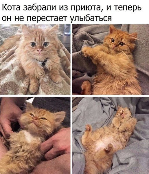    - 3  2018  16:32
