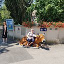 ���� ������, ���������, 73 ���� - ��������� 13 ������� 2018 � ������ ���� ����������